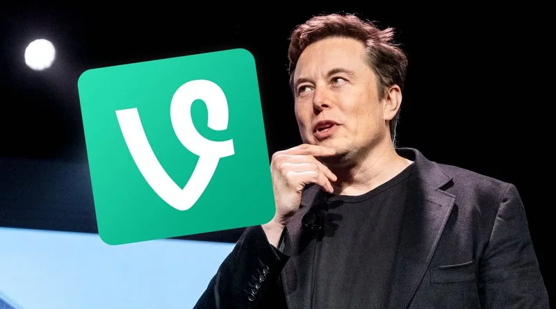 What Is Vine Crypto, and Is It Worth Investing In?